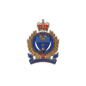 regina police service logo